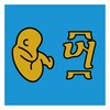 南瓜电影极速版 